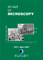 Vol 7